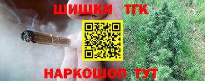 apvp Партизанск