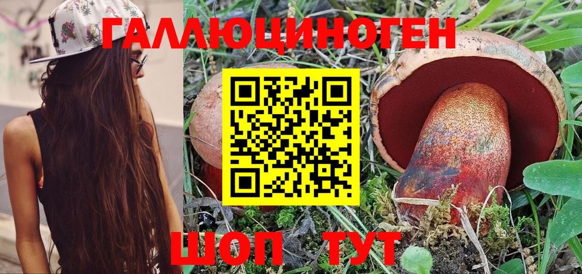 Новокубанск  Псилоцибиновые грибы Psilocybine cubensis  Вход с VPN  Псилоцибиновые грибы Psilocybine cubensis 